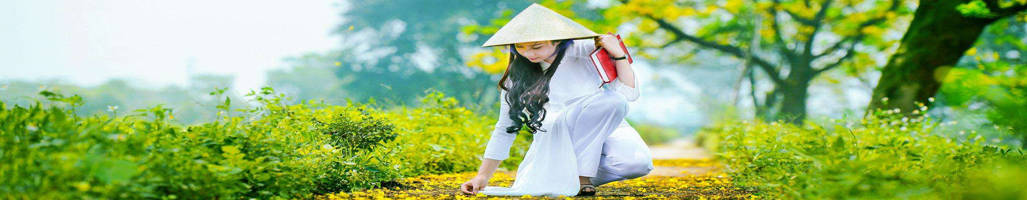vietnamft vietnamft