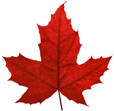 canada-leafs canada-leafs