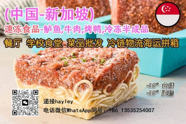 冷链物流海运拼箱新加坡