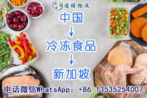 人在新加坡！如何实现冻品自由？冷冻食品 海运 →新加坡