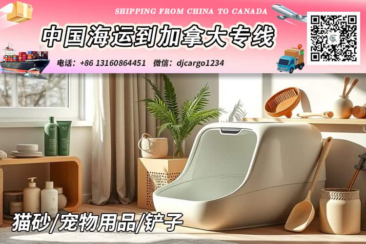 猫砂海运到加拿大