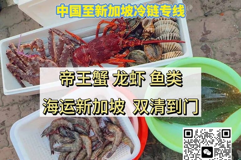 中国海鲜海运新加坡｜帝王蟹、龙虾、海参海胆及素食类一站式冷链运输